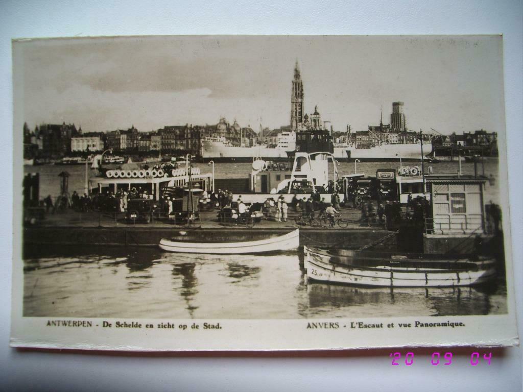 Postkaart : Antwerpen - De Schelde en zicht op de stad., Envoi, 1940 à 1960, Non affranchie, Anvers