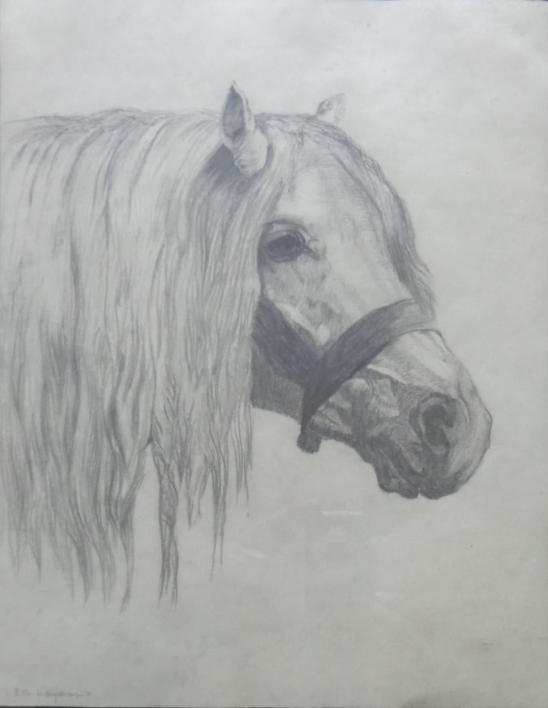 S.B. HAYWARD / WEARY PONY / ORIGINEEL WERK / 42x32cm KADER, Ophalen of Verzenden