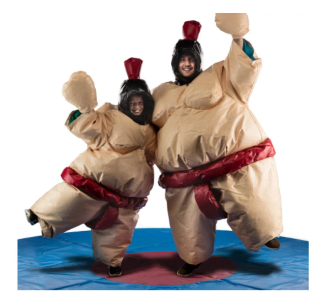 location Sumo adultes ou enfants by Dream for kids, Hobby & Loisirs créatifs, Articles de fête | Location, Enlèvement ou Envoi
