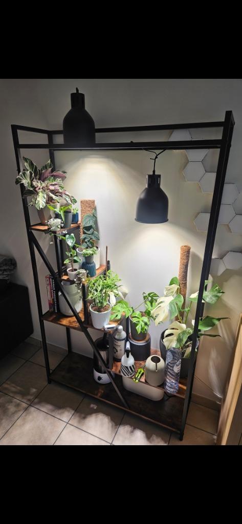 Setup et matériel pour culture de plantes tropicales, Enlèvement