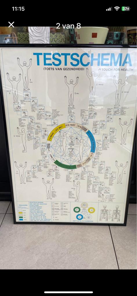 Nieuw ingekaderde poster kinesiologie 90x65, Ophalen, Zo goed als nieuw