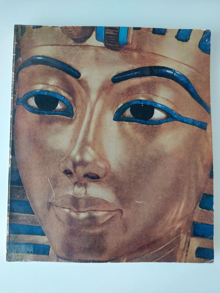 Toutankhamon et son époque, Enlèvement ou Envoi, Utilisé