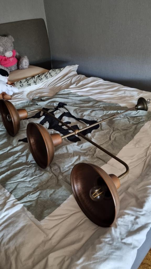 Landelijke luster, Enlèvement