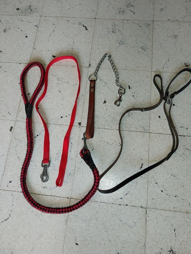 4 leidlitsen, voor honden., Enlèvement, Comme neuf, Accessoires pour laisse pour chien
