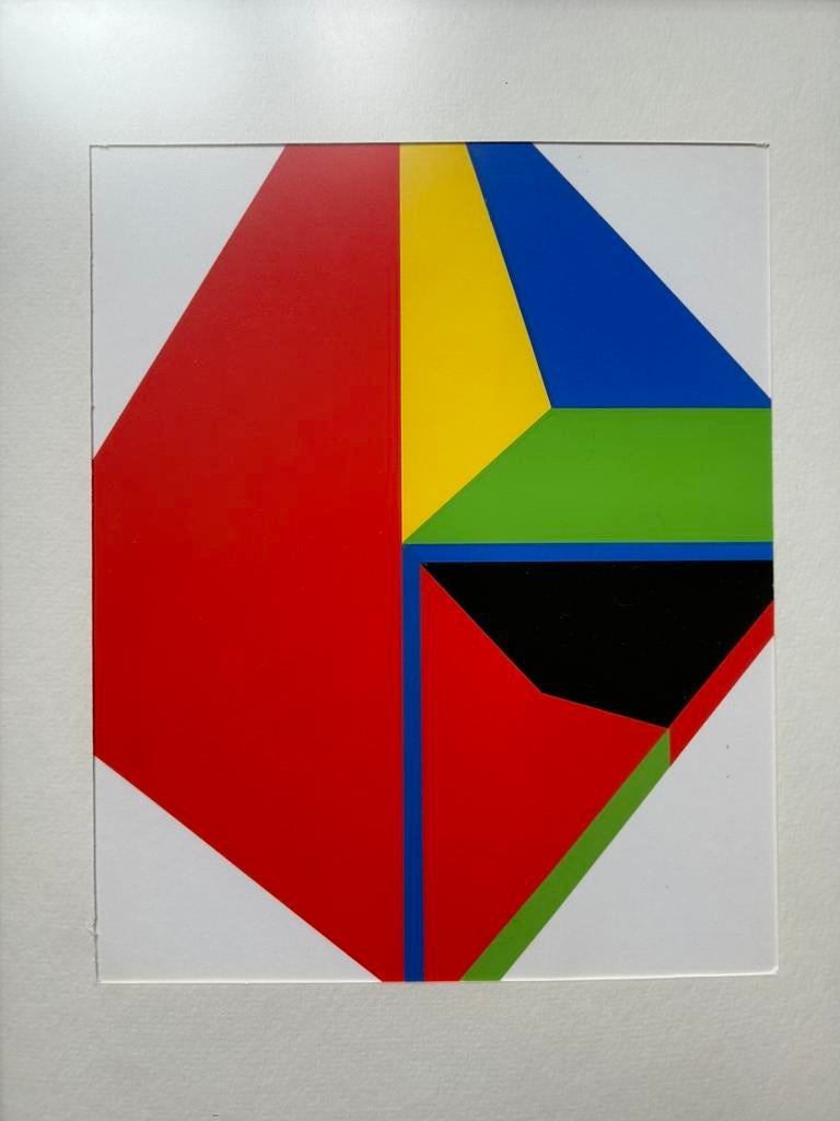 GUY VANDENBRANDEN - Zeefdruk (met kader), Antiek en Kunst, Kunst | Litho's en Zeefdrukken, Ophalen of Verzenden