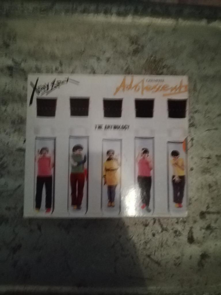 X-Ray Spex, Verzenden, Overige genres