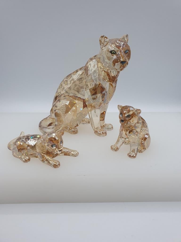 Swarovski SCS 2019 Amoerluipaarden Sofia met 2 jongen., Ophalen of Verzenden, Zo goed als nieuw