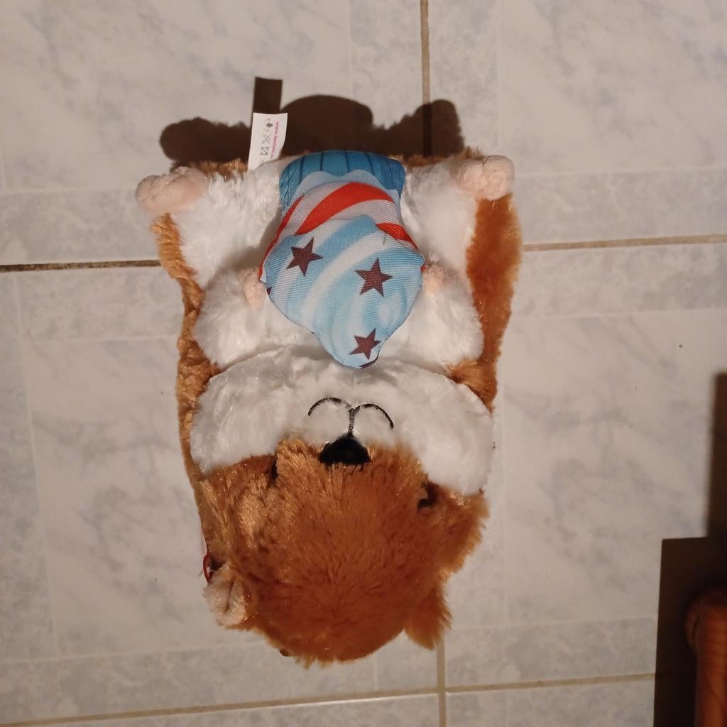 Hamster knuffel,  nieuw, Ophalen of Verzenden, Nieuw
