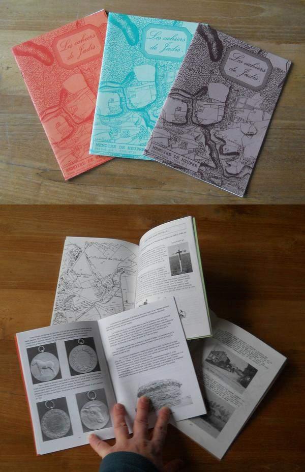 Mémoire de Neupré - Les cahiers de jadis (lot de 3), Ophalen of Verzenden, Gelezen