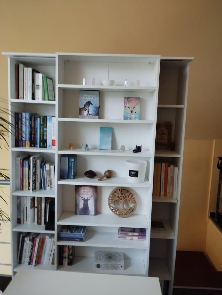 Bibliothèque avec partie coulissante, Maison & Meubles, Armoires | Bibliothèques, Enlèvement, Comme neuf