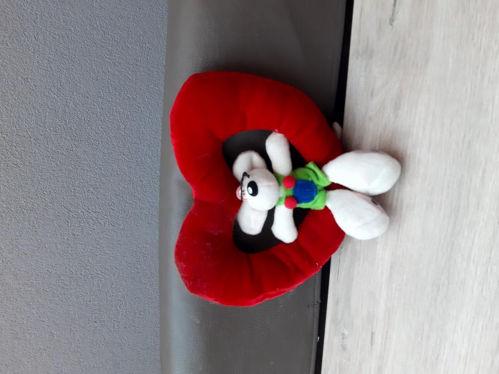 Valentijn didl om op te hangen, Verzamelen, Ophalen