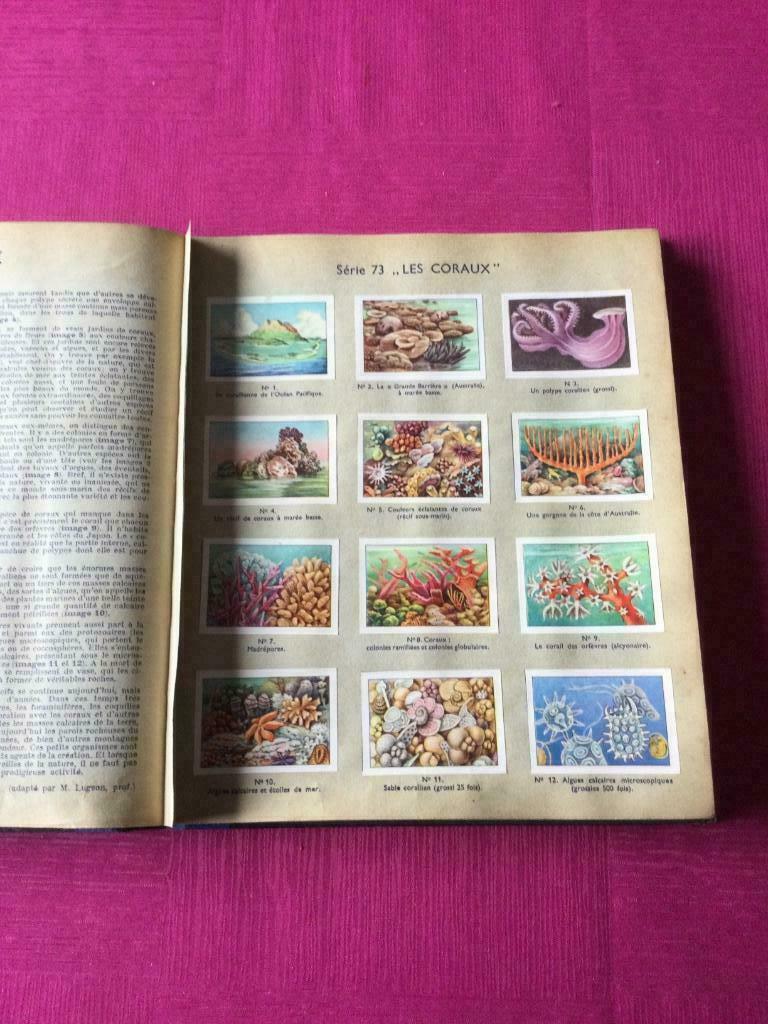 LES MERVEILLES DU MONDE Album NESTLE, Ophalen, Gelezen, Prentenboek
