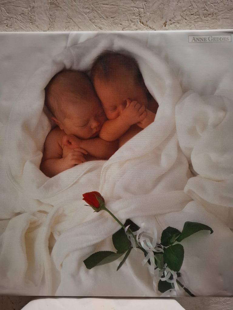 2 Prenten op houten kader Anne Geddes, Verzamelen, Ophalen, 1980 tot heden, Nieuw, Prent