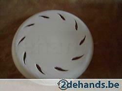 Witte frisbee, Utilisé