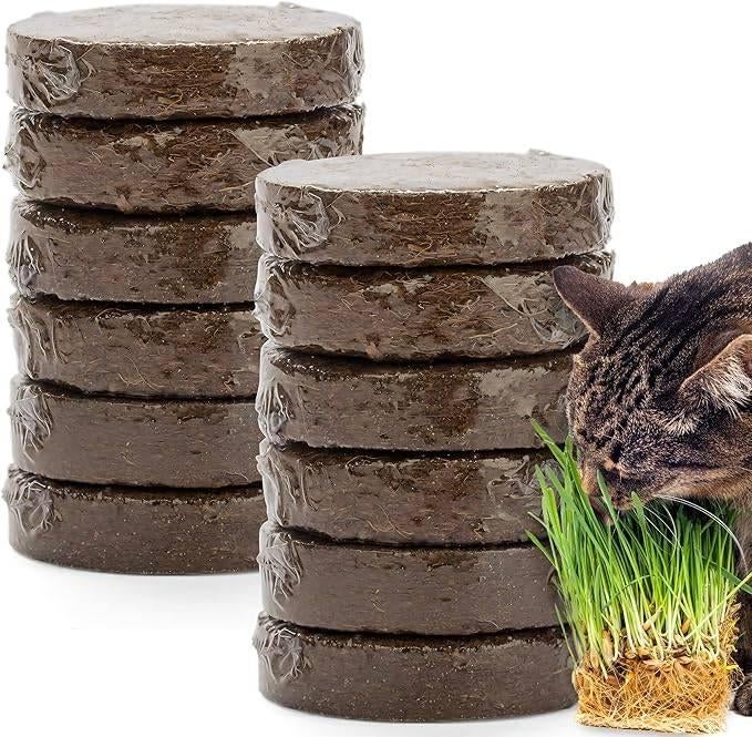 Terreau en fibre de coco | LIVRAISON GRATUITE, Jardin & Terrasse, Envoi, Terreau