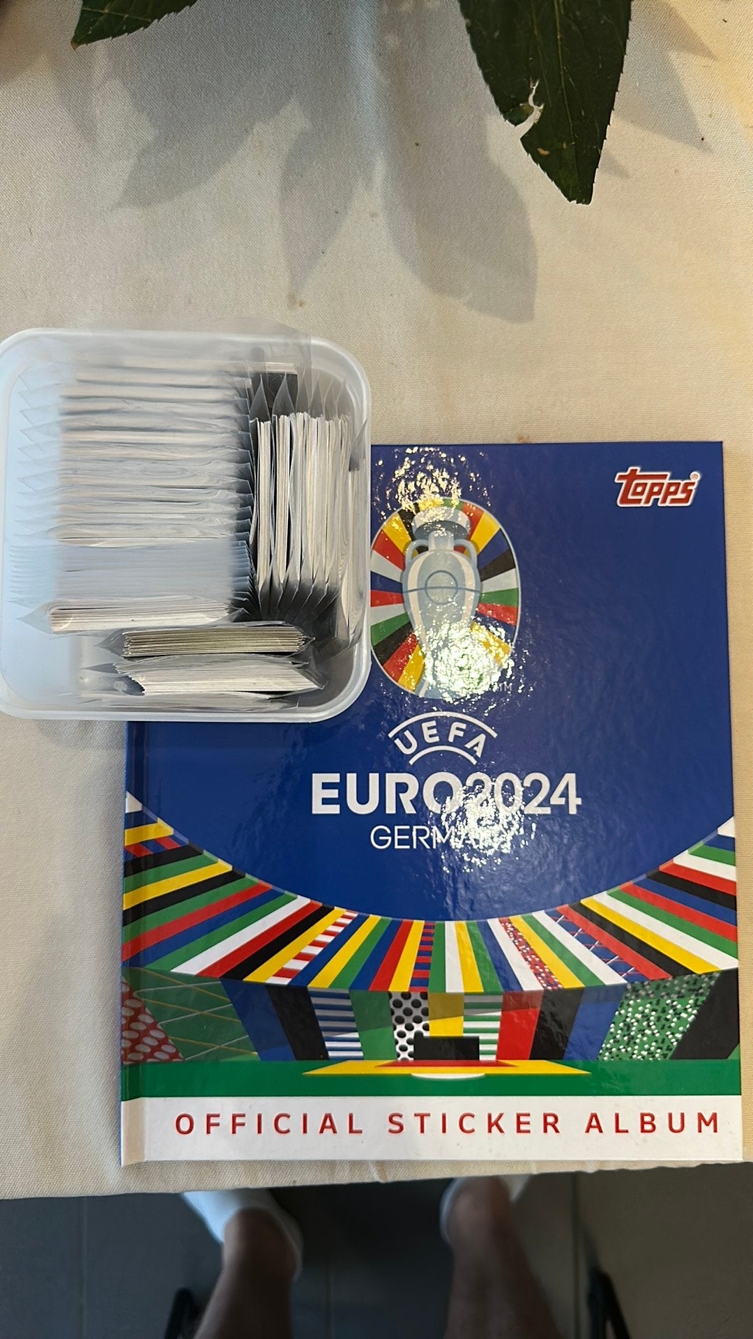Complete topps EK 2024 sticker album, Ophalen, Zo goed als nieuw, Sticker