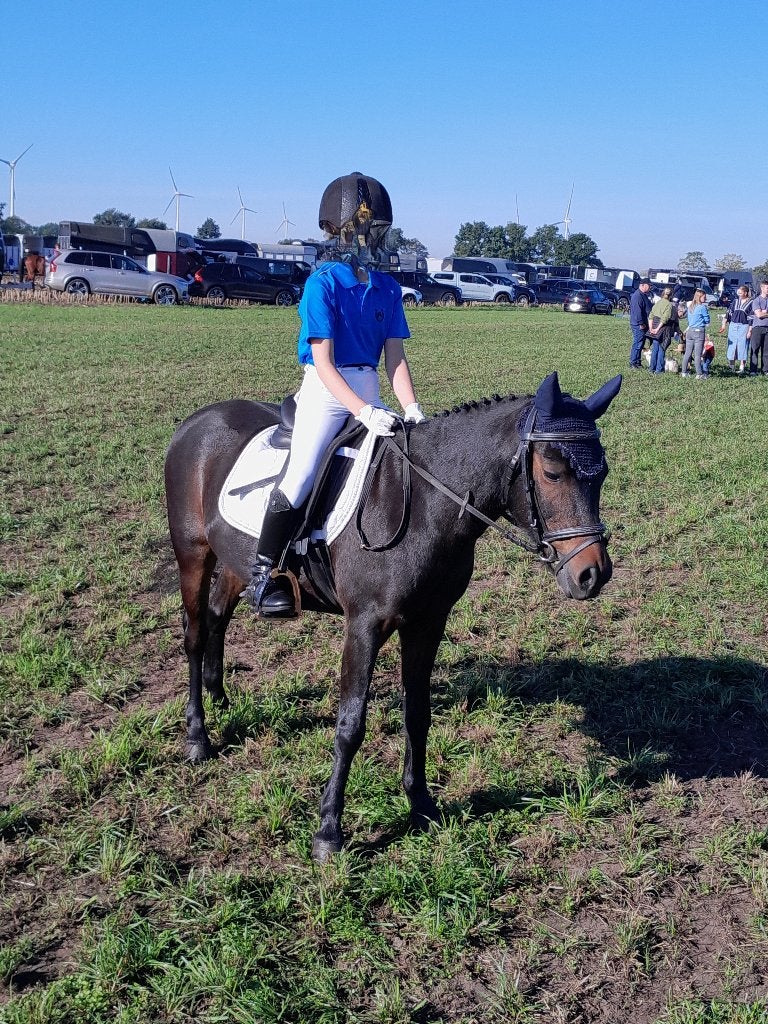 B pony te koop, Dieren en Toebehoren, Pony's, Ruin, Springpony, B pony (1.17m tot 1.27m), 11 jaar of ouder