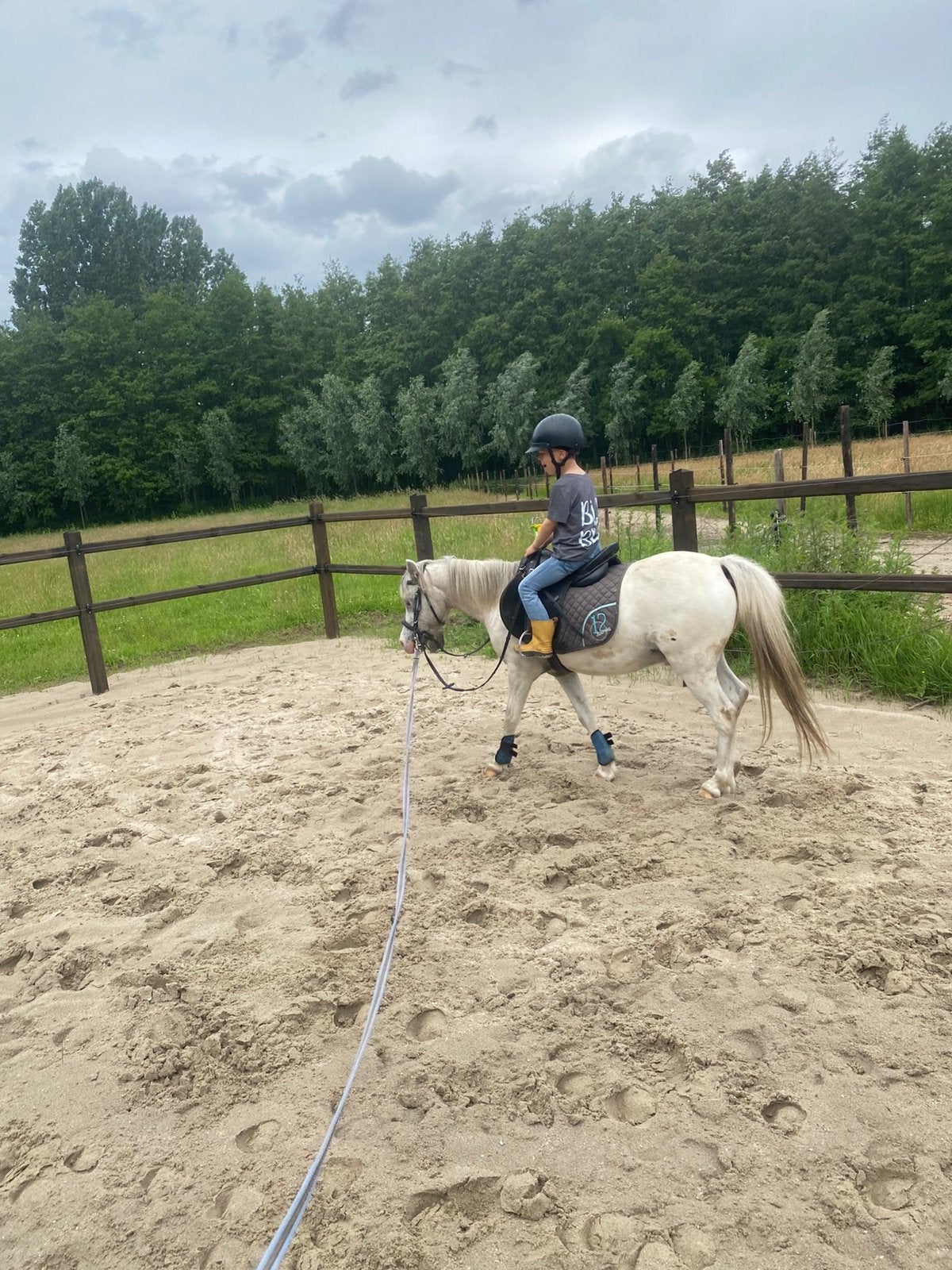 Betrouwbare kinderpony, Animaux & Accessoires, Poneys, Hongre, Débourré, Poney A (jusqu'à 1.17 m), Poney de récréation, 7 à 10 ans