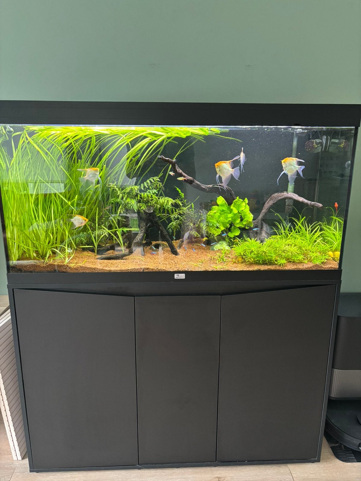 Aquarium aquatlantis 1m20, Poissons inclus, Aquatlantis, Aquarium d'eau douce rempli, Comme neuf