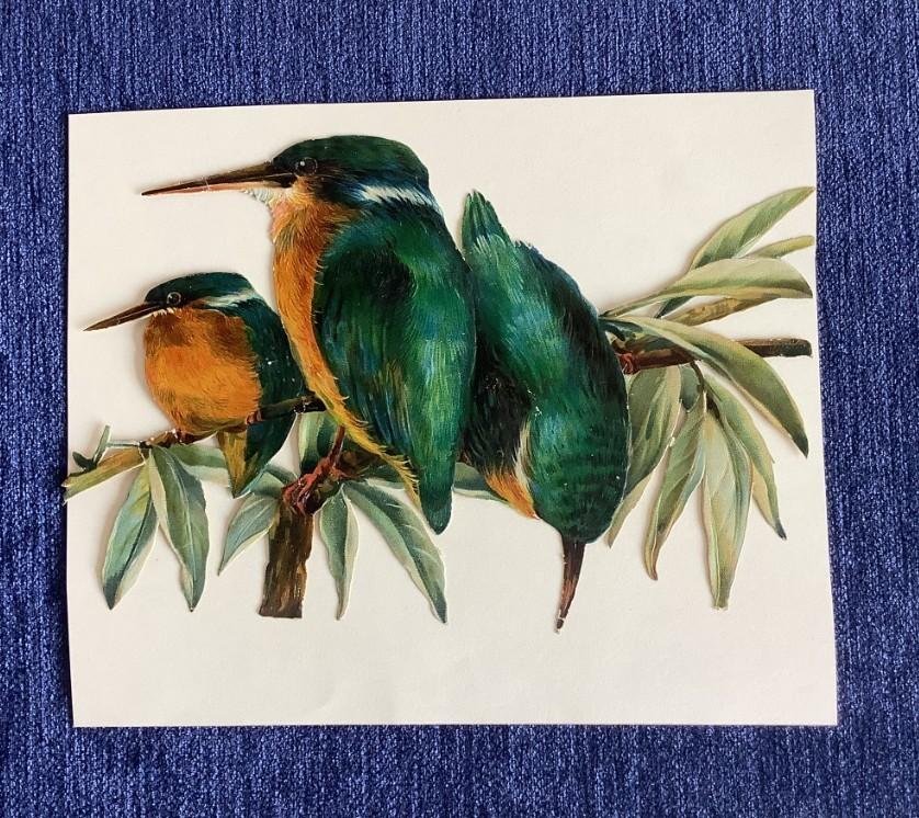 groot antiek poëzieplaatje met ijsvogels, Verzamelen, Ophalen of Verzenden