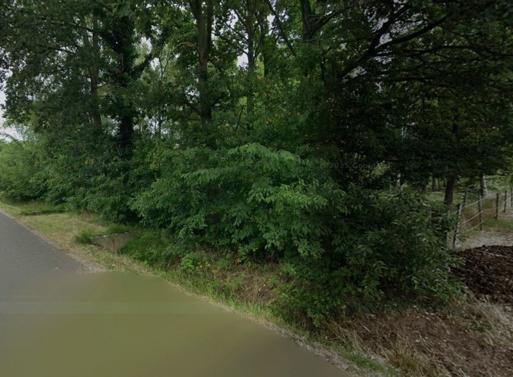 weiland in de buurt van "De Wijers" ZONHOVEN te koop, Immo, Zonhoven, Verkoop zonder makelaar, 1500 m² of meer