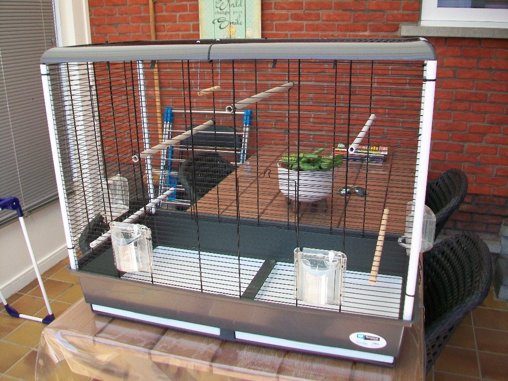 Vogelkooi ferplast birds, Dieren en Toebehoren, Ophalen, Gebruikt, Kunststof, Vogelkooi