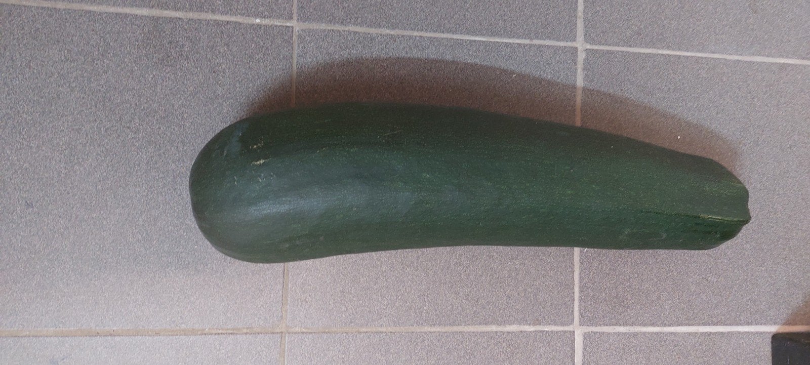 courgette, Jardin & Terrasse, Enlèvement