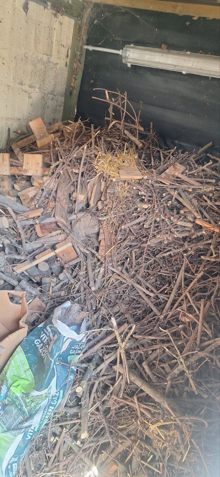 Gratis brandhout, Tuin en Terras, Brandhout, Ophalen