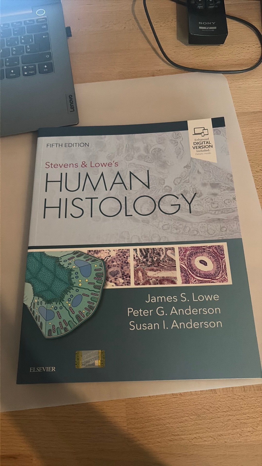 Boek human histology, Livres, Science, Enlèvement ou Envoi, Neuf