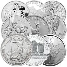 Gezocht: Zilveren 1oz Munten & Baren – Boven Spotprijs!, Postzegels en Munten, Ophalen of Verzenden, Zilver