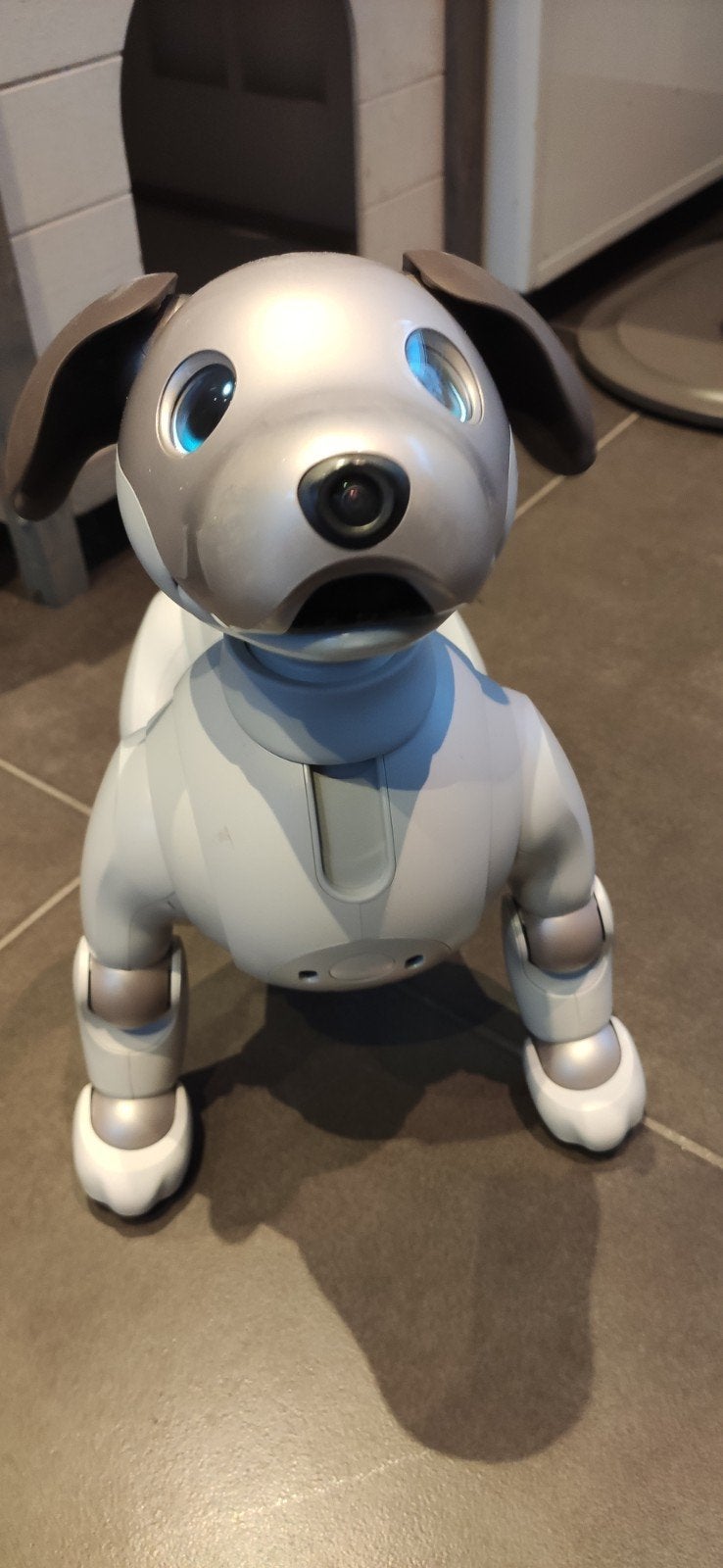 Sony AIBO Robothond – Met Laadstation & Accessoires, Ophalen of Verzenden, Zo goed als nieuw
