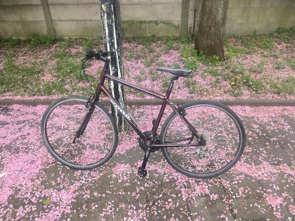 Velo homme, Vélos & Vélomoteurs, Enlèvement, Utilisé