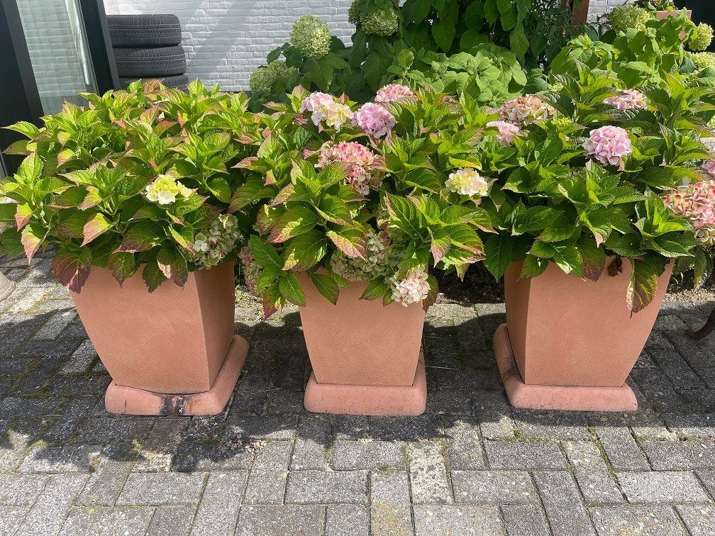 Veca kunststof bloembak plantenbak compleet met Hortensia, Enlèvement, Utilisé, Synthétique, Balcon