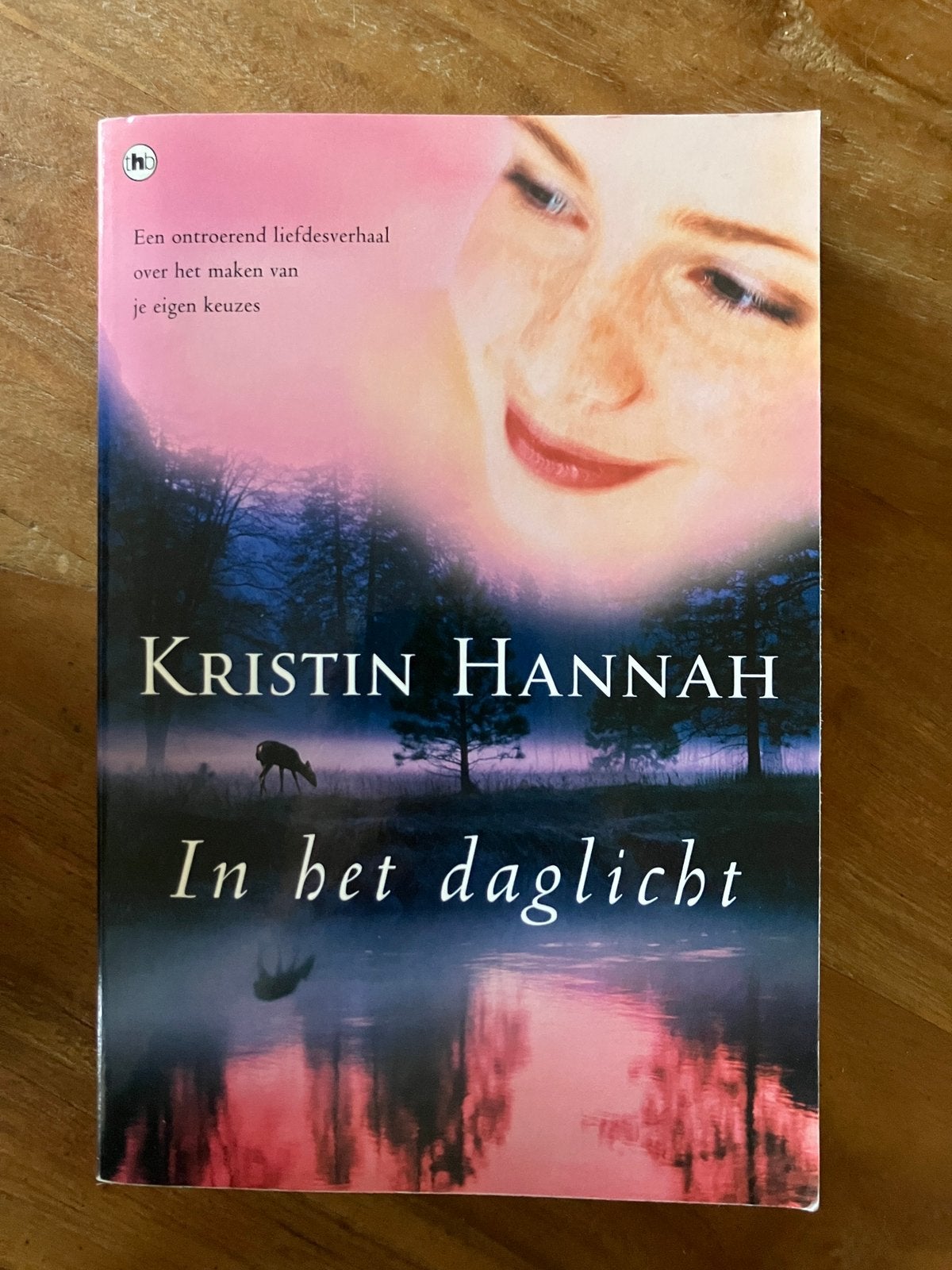 Kristin Hannah - In het daglicht, Ophalen of Verzenden, Zo goed als nieuw, Kristin Hannah