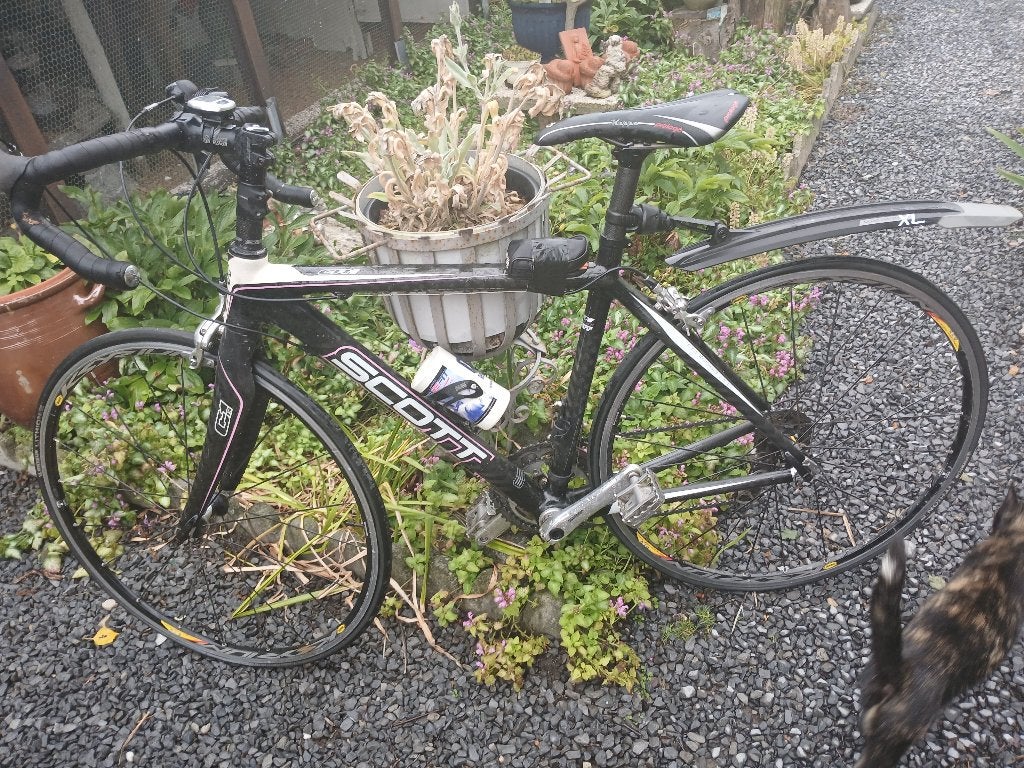 Fiets, Gebruikt, Versnellingen, 53 tot 57 cm, Ophalen