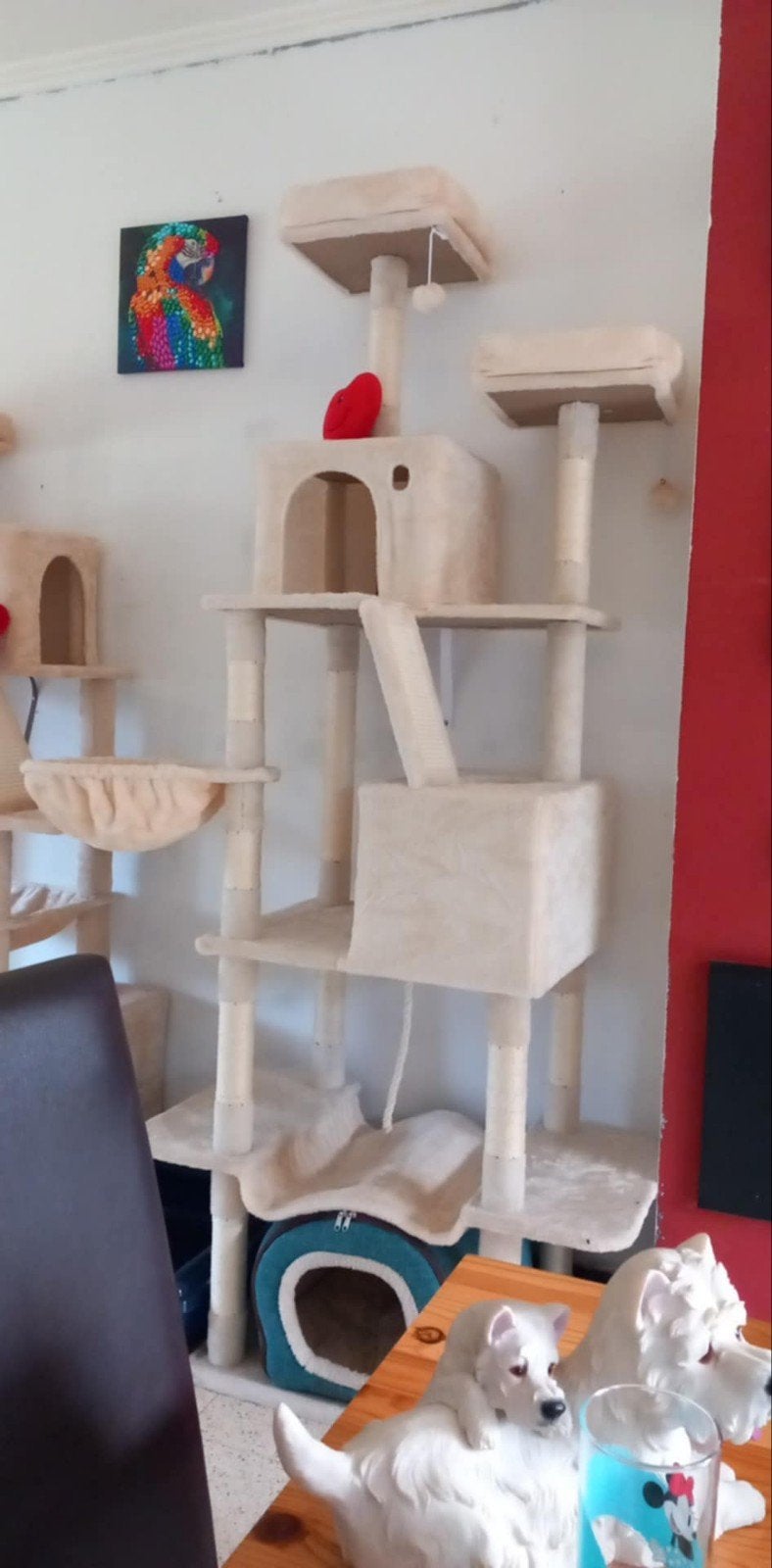 Krabpaal, Animaux & Accessoires, Accessoires pour chats, Enlèvement