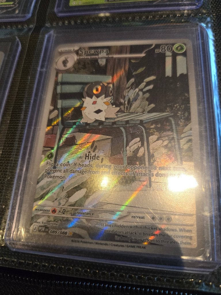Spewpa.... te koop 5 euro of te ruil, Ophalen