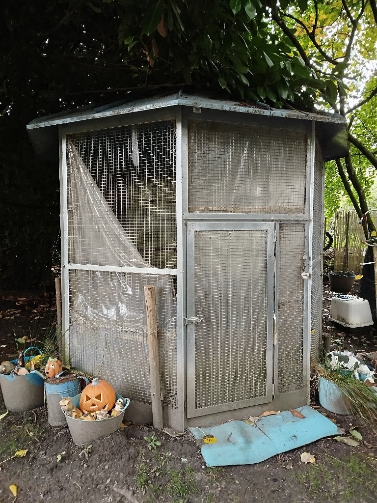 Volière, Animaux & Accessoires, Enlèvement, Utilisé, Métal, Volière