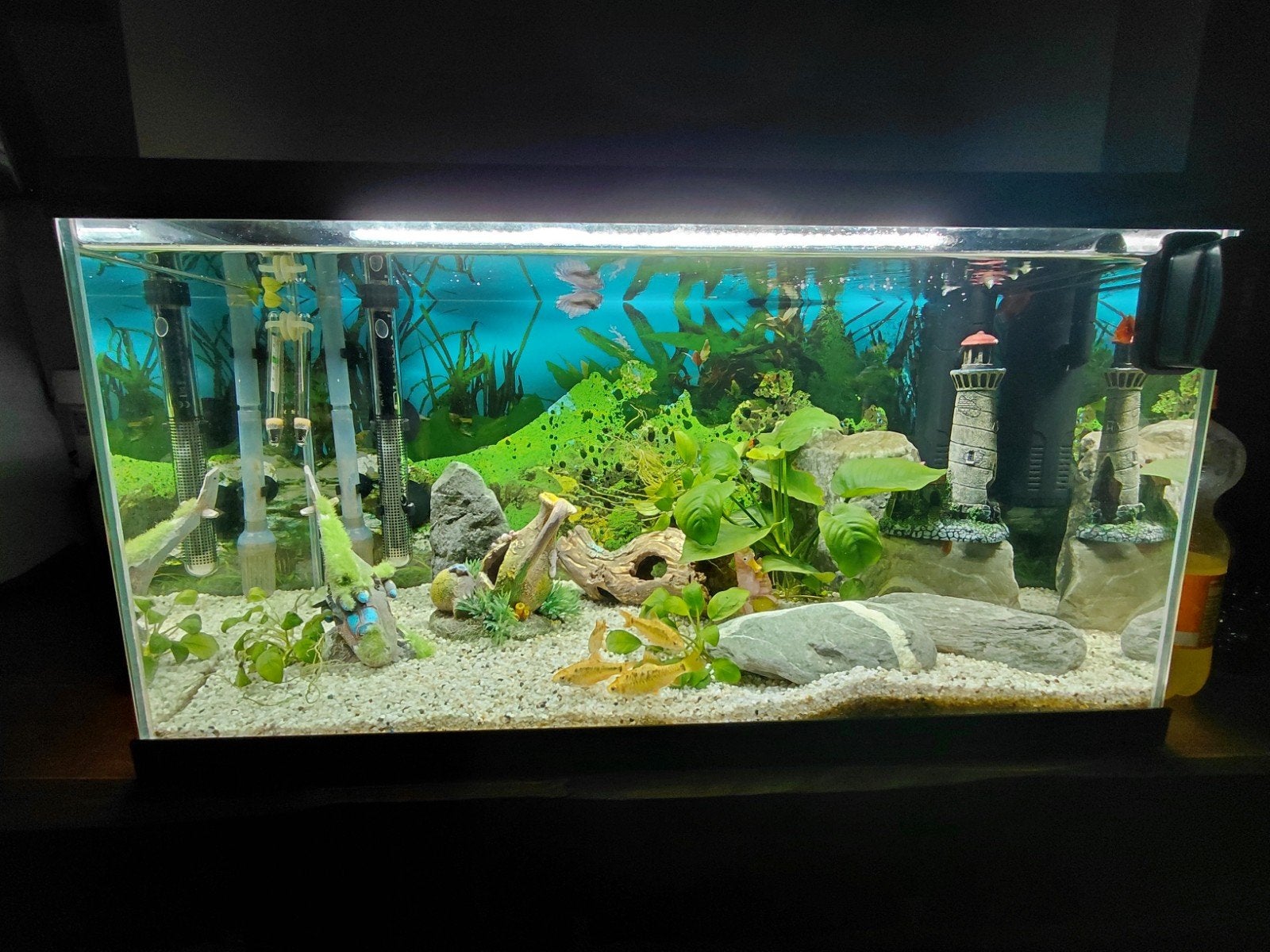 aquarium 60 liter ,met toebehoren, Dieren en Toebehoren, Ophalen, Verwarming