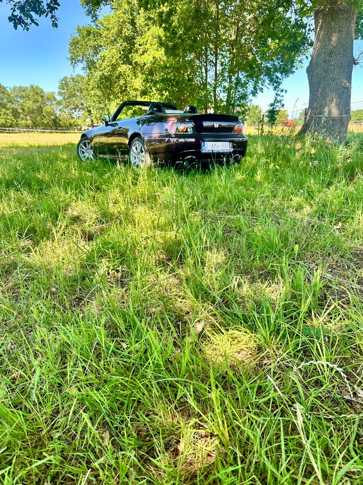 Honda s2000, Auto's, Honda, Achterwielaandrijving, Zwart, 4 cilinders, Cabriolet