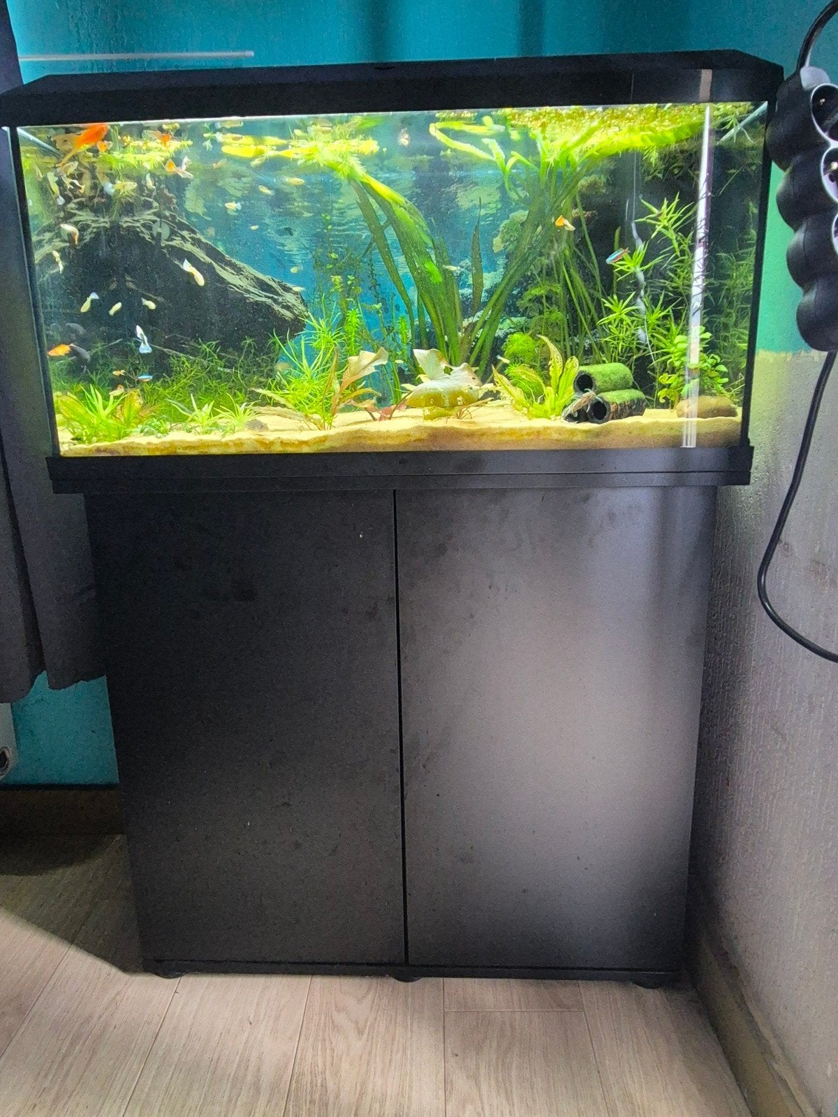 juwel rio 125, Dieren en Toebehoren, Vissen | Aquaria en Toebehoren, Ophalen, Verwarming, Juwel