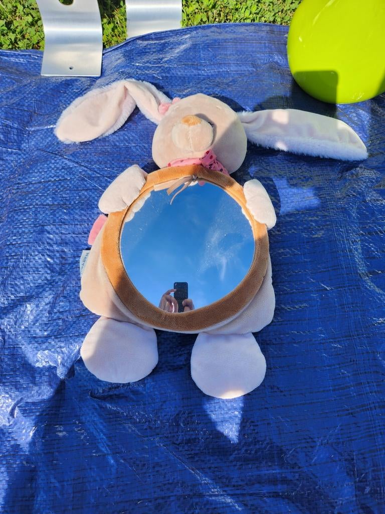 Lapin miroir