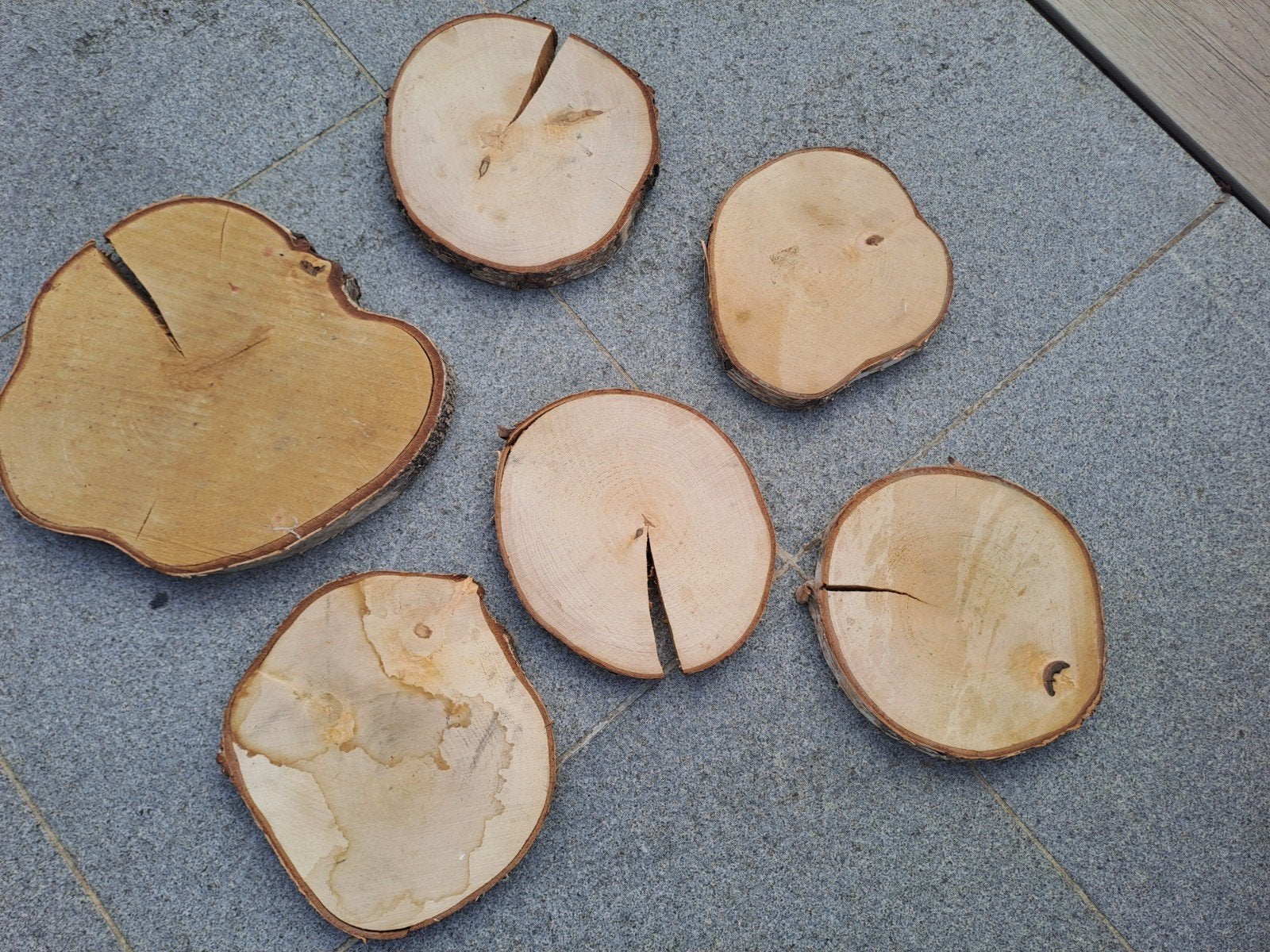 6 boomschijven, naturel., Ophalen