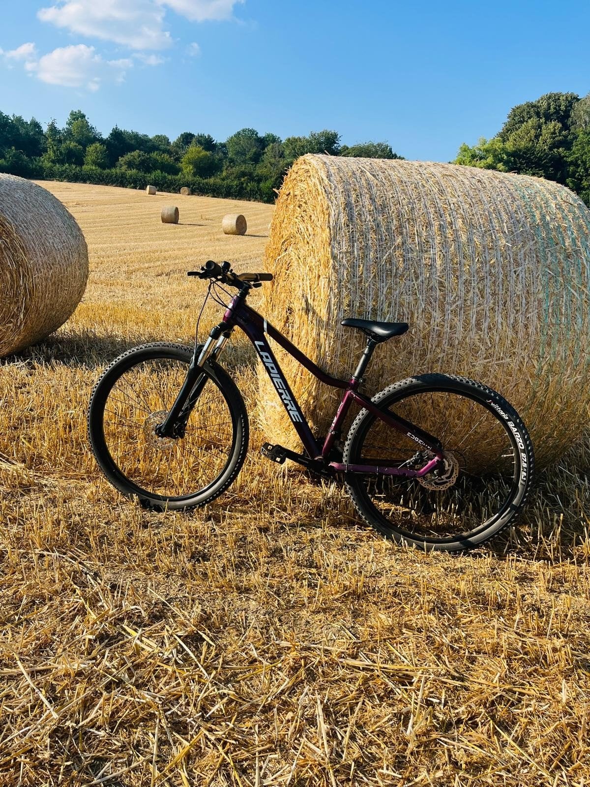 Lapiere  mtb, Fietsen en Brommers, Ophalen