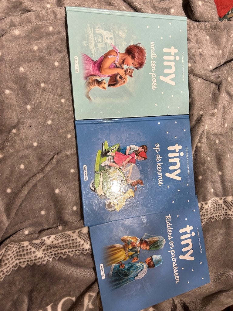 Tiny boeken allerlei jaartallen, Boeken, Ophalen of Verzenden, Gelezen, Non-fictie