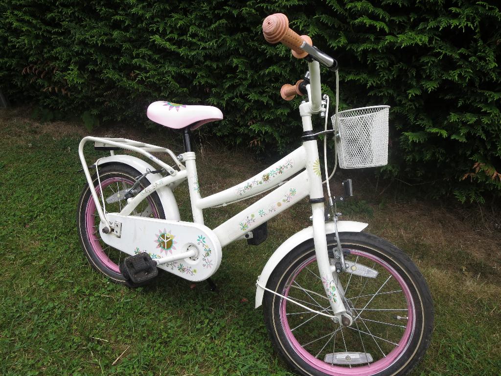 Roze meisjesfiets 16 inch, Ophalen, Gebruikt, Velgrem, Handrem