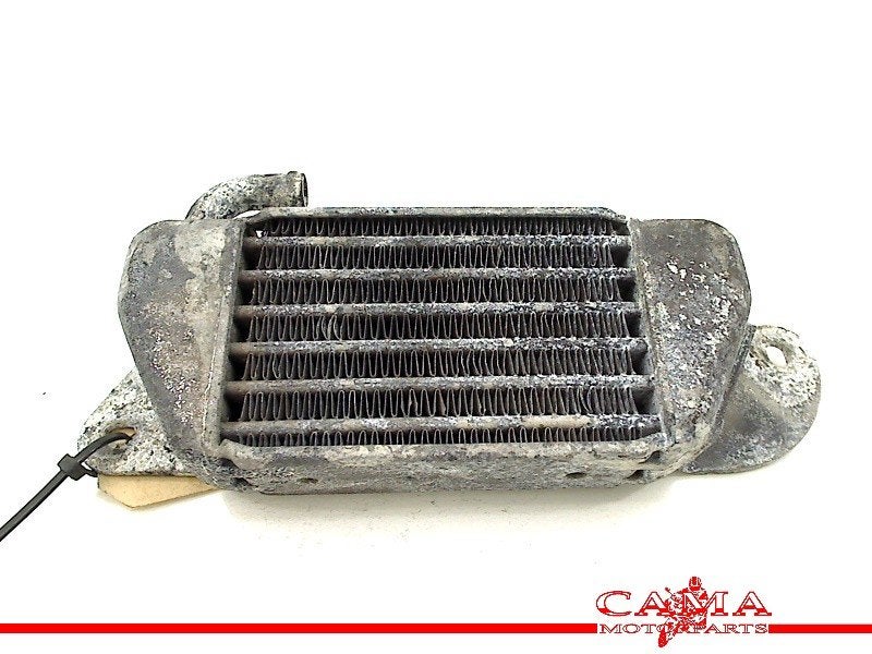 RADIATEUR BMW R 1200 C (R1200C 97) (01-1997/-), Motoren, Dhr. S. di Majo, Gebruikt, Info@cama-motorparts.nl, P.J. Troelstraweg 8 8
3144 CX  MAASSLUIS, NL