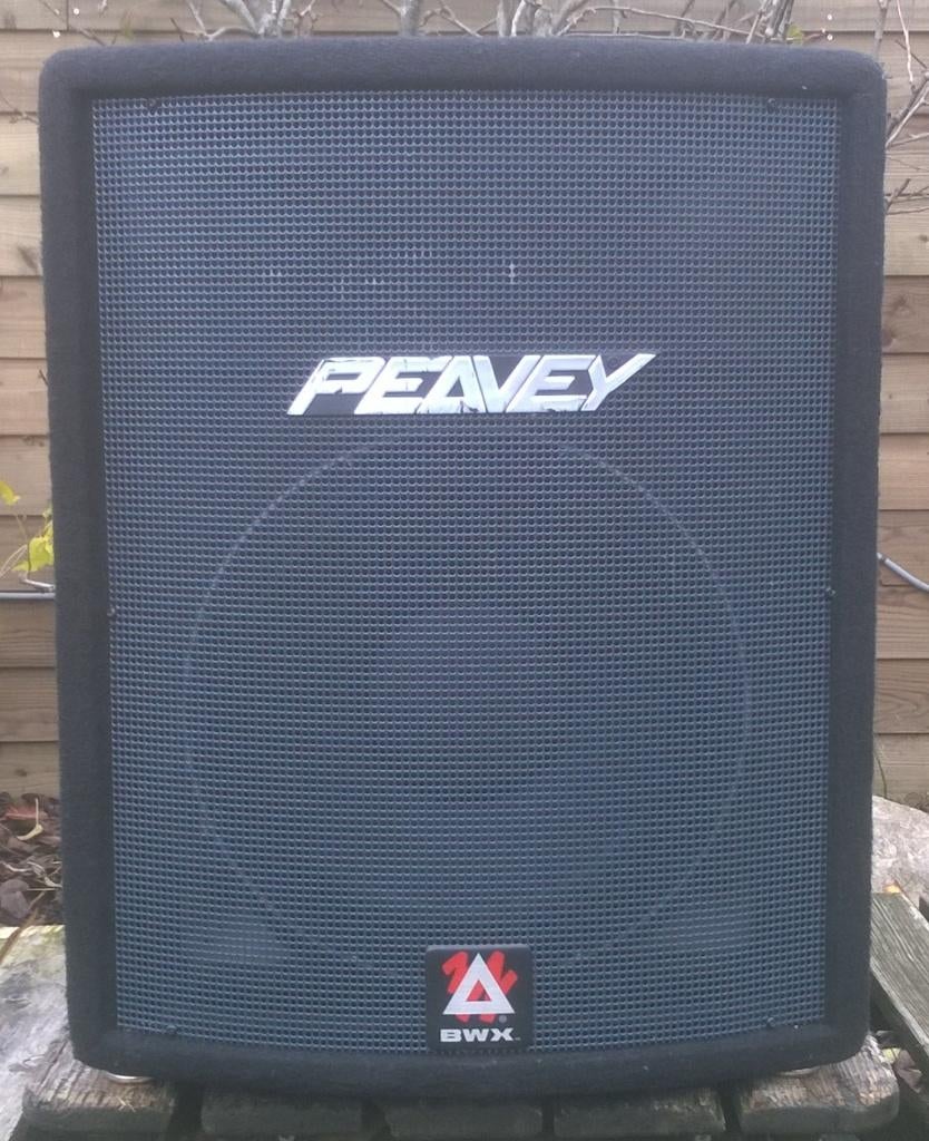 Luidsprekers Peavey Hysis 1RX 500 Watt, 2 stuks, Overige merken, Ophalen of Verzenden, Zo goed als nieuw, 120 watt of meer