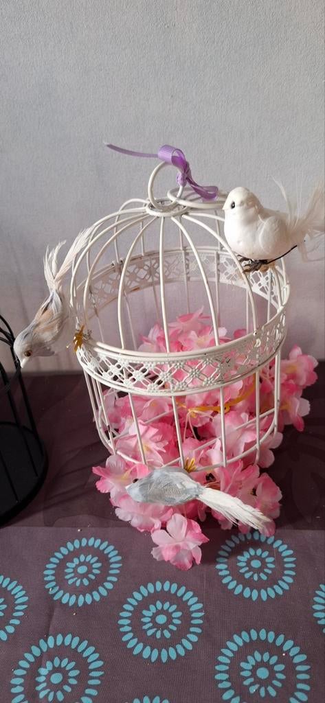 Vogelkooi decoratie, Huis en Inrichting, Ophalen