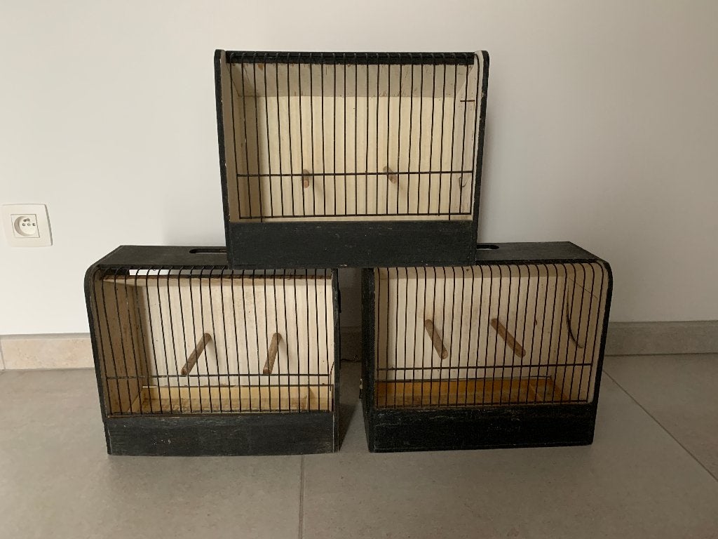 3 cages à canaris pour exposition, Animaux & Accessoires, Enlèvement, Utilisé, Bois, Cage d'élevage